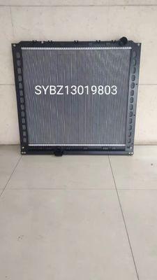 Authentieke Xuande Wing 3 watertankradiator BZ13019803